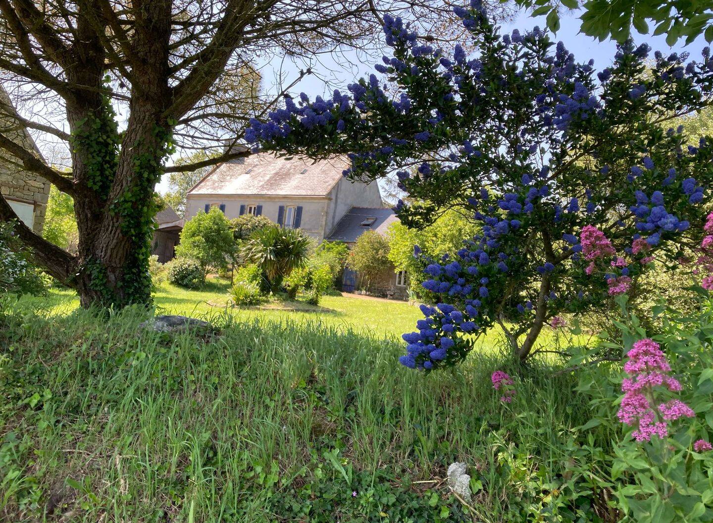 Maison 10 pièces 230 m² · à Plonévez-Porzay · 230 m² · 731 500 €