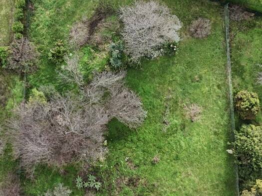 Terrain constructible à vendre 84 000 € 815 m² de terrain Uzès 30700