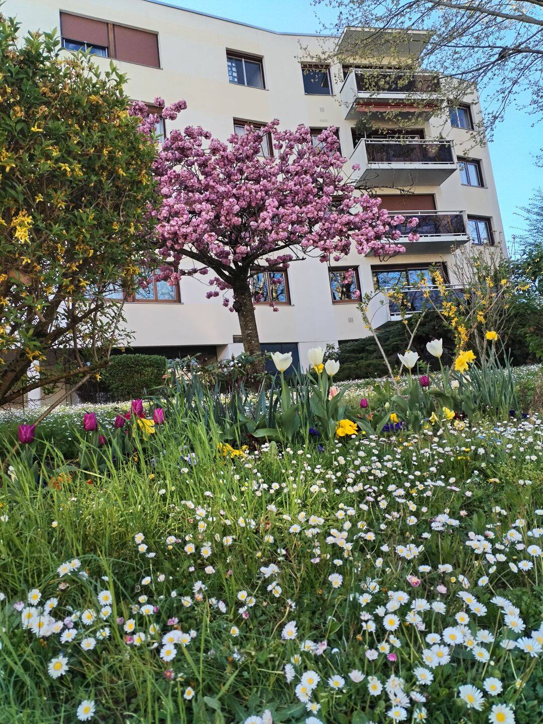 Appartement 5 pièces 80 m² · à Palaiseau · 80 m² · 620 €/mois