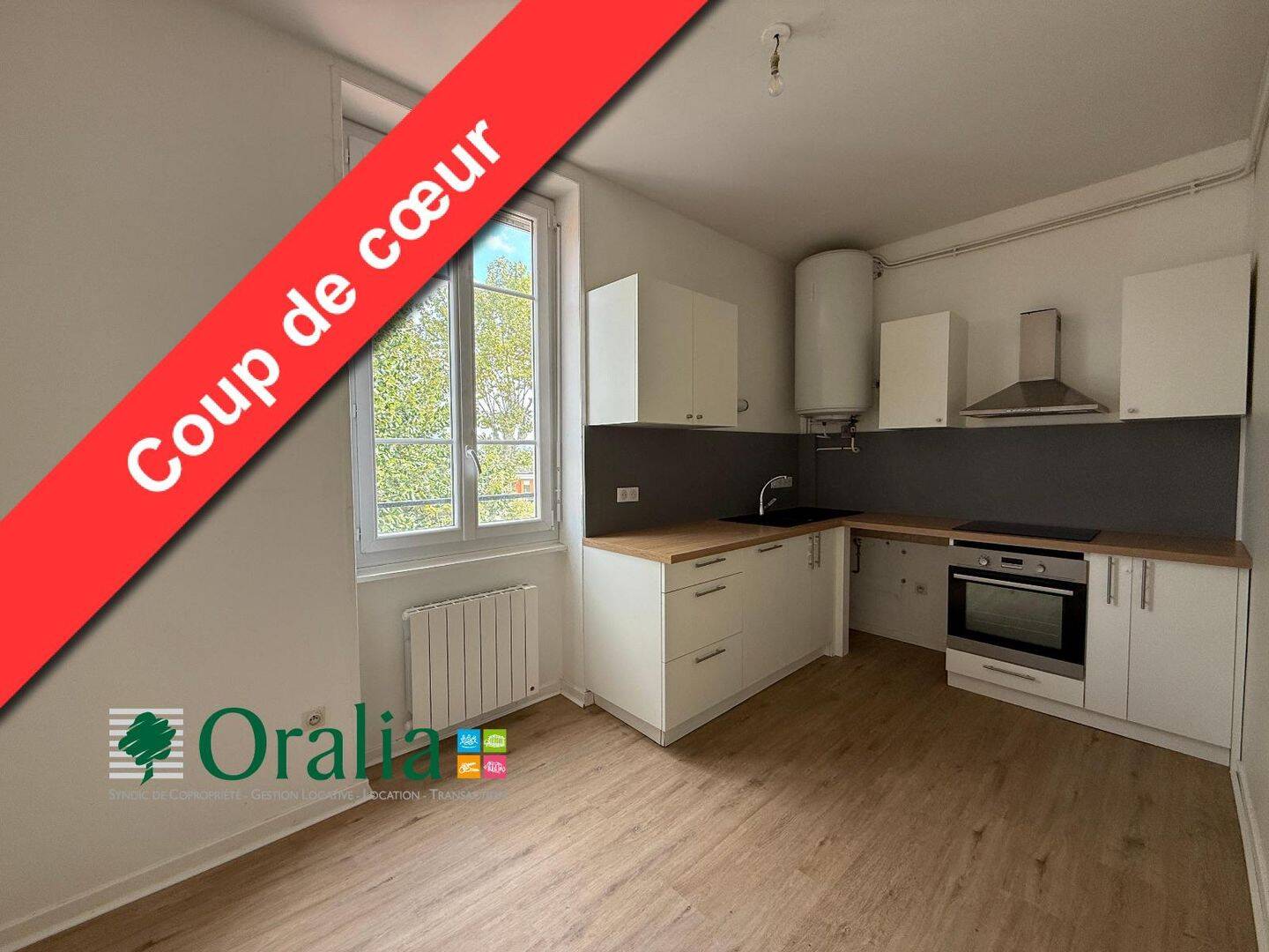Appartement 3 pièces 80 m² · à Tarare · 79,6 m² · 700 €
