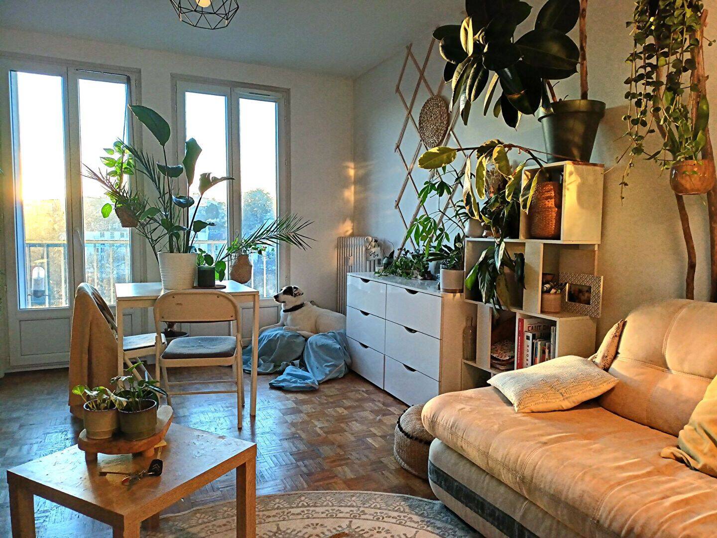 Appartement 2 pièces 40 m² · à Limoges · 40,4 m² · 436 €/mois