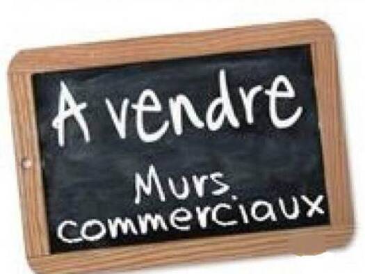 Local commercial à vendre 315 000 € 126 m² de surface de vente La-Soie Décines-Charpieu 69150