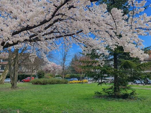 Appartement à vendre 320 000 € 4 pièces 2 chambres 91 m² Étage 1/4 Contades Centre Strasbourg 67000