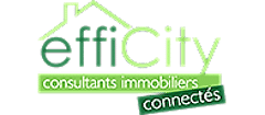 efficity Christophe Remillon logo