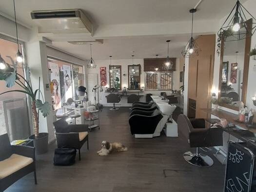 Institut de beauté à vendre Fonds de commerce 67 200 € 4 pièces 70 m² de surface de vente Centre Nord Illkirch-Graffenstaden 67400