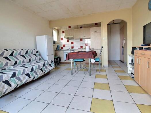 Appartement à vendre 69 900 € 1 pièce 25,2 m² 3 étages Metzgerhof-Hundshof-Schloessel Château Fia Haguenau 67500