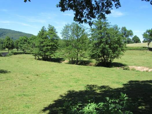 Terrain à vendre 221 000 € 1 042 m² de terrain Les Olmes 69490