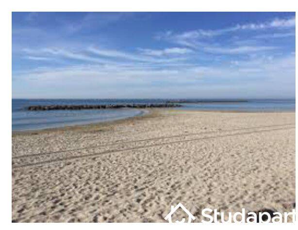 Appartement 3 pièces 60 m² · à Palavas-les-Flots · 60 m² · 480 €