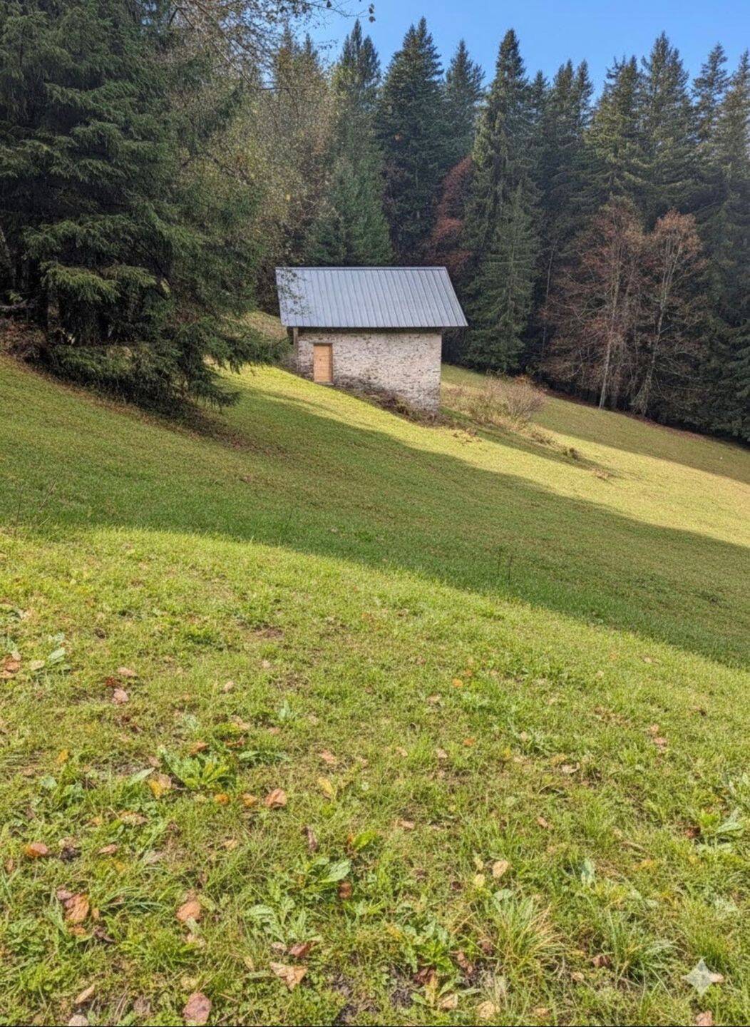 Maison 5 pièces 250 m² · à Beaufort · 250 m² · 200 000 €