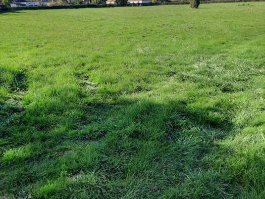 Terrain constructible viabilisé à vendre 31 000 € 1 100 m² de terrain Le Magny 36400