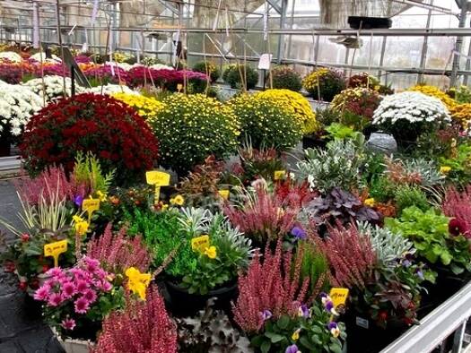 Maison à vendre 422 000 € 7 pièces 5 chambres 160 m² 2 969 m² de terrain Mortard Lure 70200