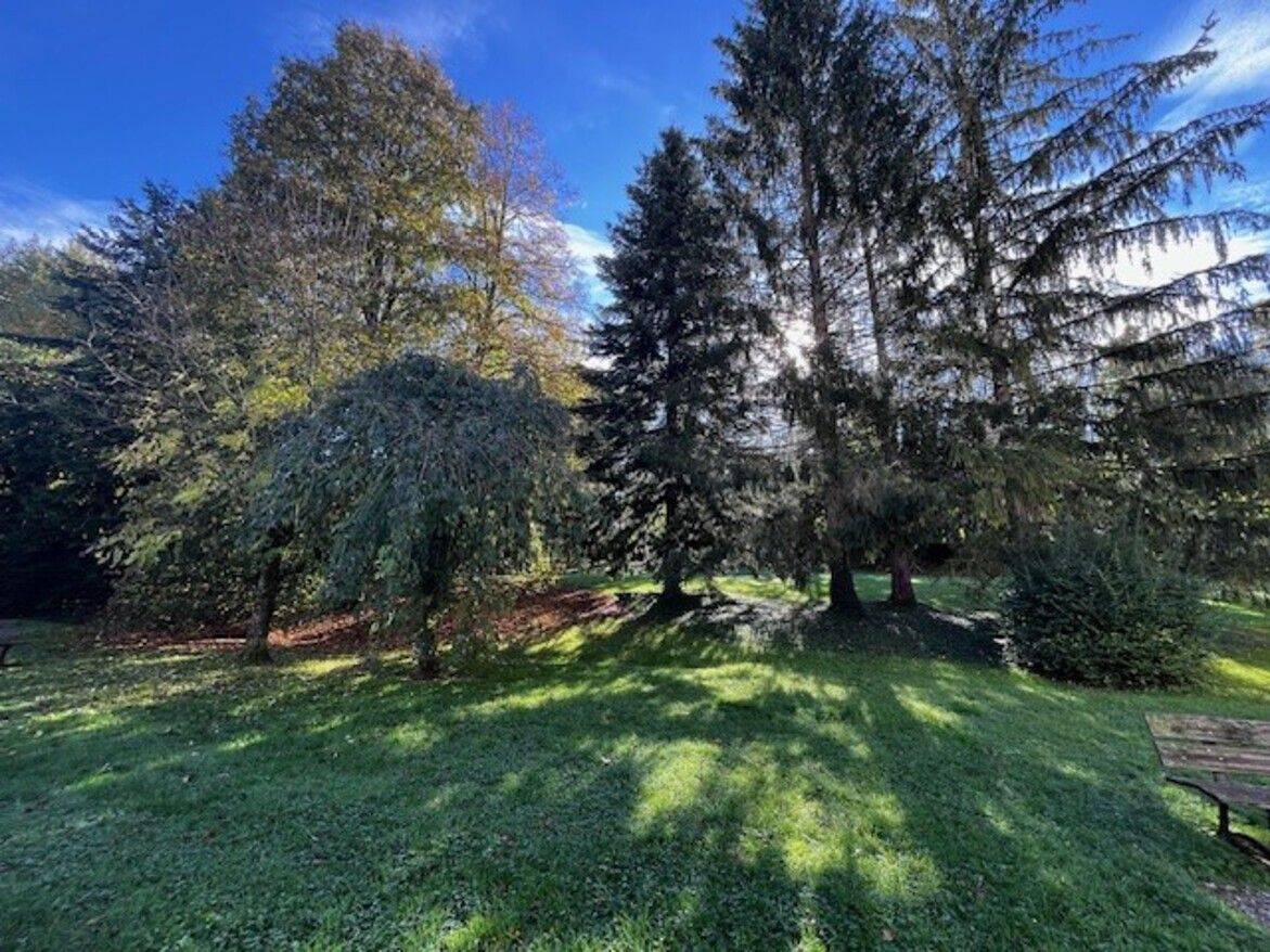 Appartement 1 pièce 19 m² · à Besançon · 18,7 m² · 353 €