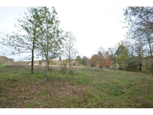 Terrain constructible viabilisé à vendre 34 500 € 4 424 m² de terrain Saint-Jean-d'Ataux 24190