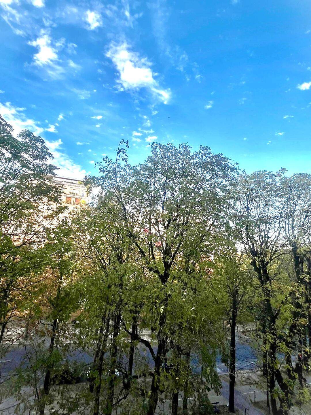 Appartement 3 pièces 100 m² · à Paris 16ème Arrondissement · 100 m² · 7 500 €/mois