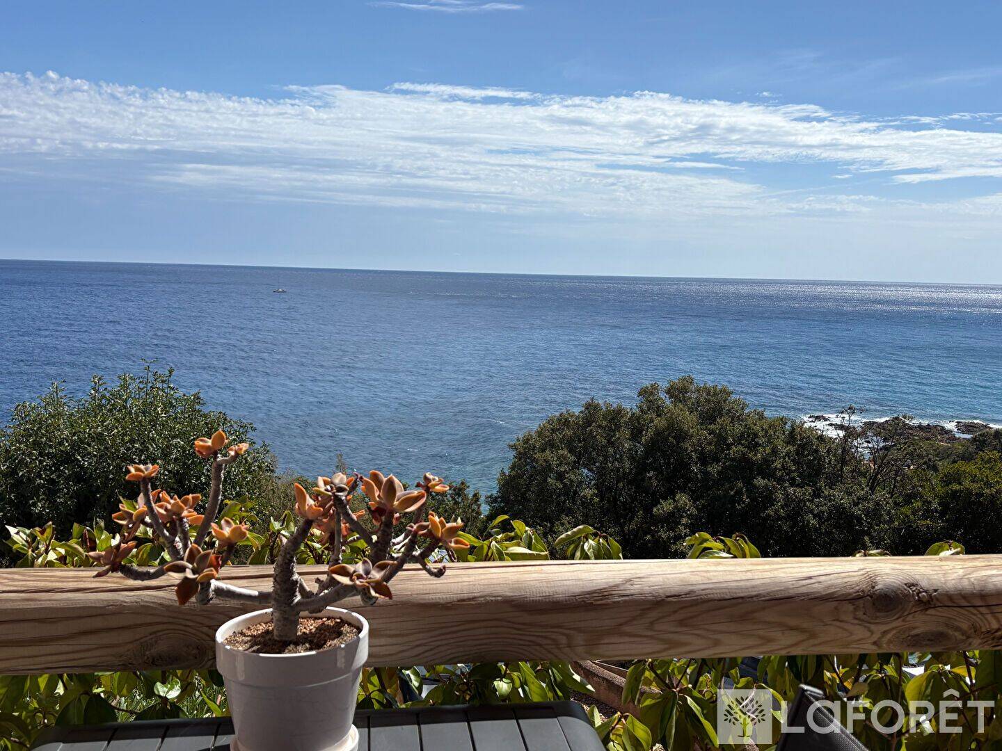 Appartement 1 pièce 26 m² · à Conca · 25,5 m² · 220 000 €
