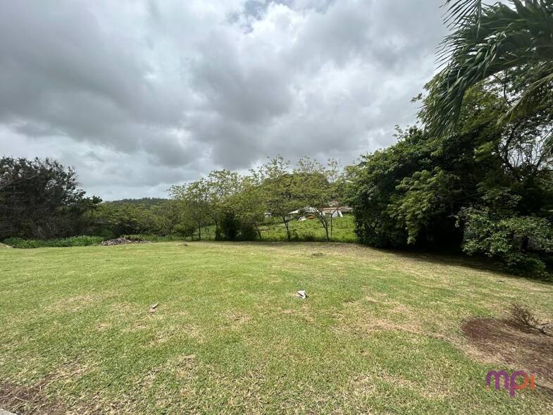 Terrain constructible à vendre 336 000 € 6 041 m² de terrain Riviere Salee 97215