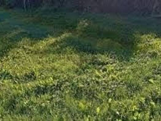 Terrain constructible viabilisé à vendre 270 000 € 510 m² de terrain Le Charrel-Camp Major-Saint Mître Aubagne 13400