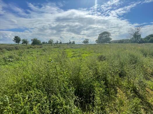 Terrain constructible viabilisé à vendre 106 000 € 891 m² de terrain Sainte-Croix-sur-Mer 14480