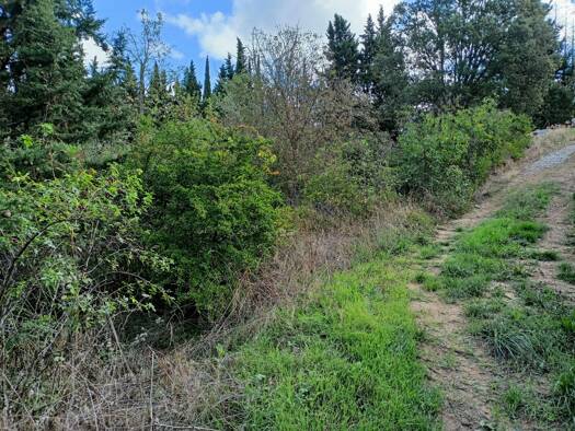 Terrain à vendre 48 000 € 2 990 m² de terrain Magrie 11300