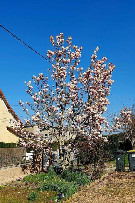 Maison 3 pièces 100 m² · à Ciry-le-Noble · 100 m² · 65 500 €