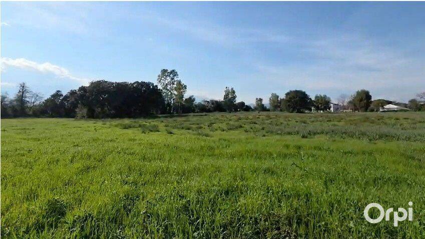 Terrain de 832 m² à Prunelli-di-Fiumorbo - photo 2