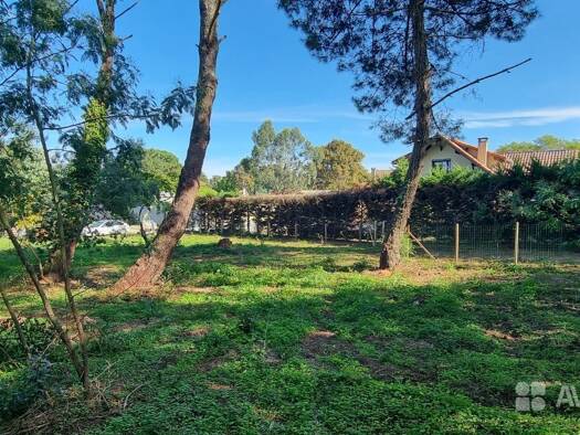 Terrain constructible viabilisé à vendre 392 000 € 985 m² de terrain Est Soustons 40140
