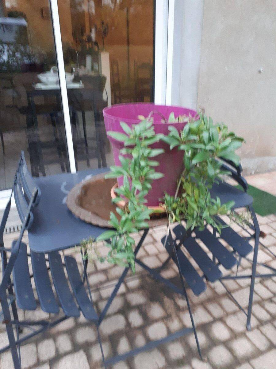 Maison 4 pièces 80 m² · à Montchanin · 80 m² · 870 €
