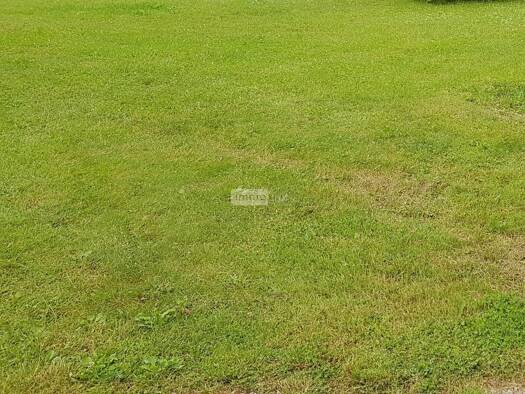 Terrain constructible à vendre 55 120 € 1 831 m² de terrain Aubérive 51600