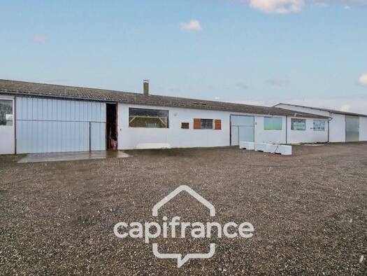 Immeuble à vendre 436 650 € 1 633 m² Bantanges 71500