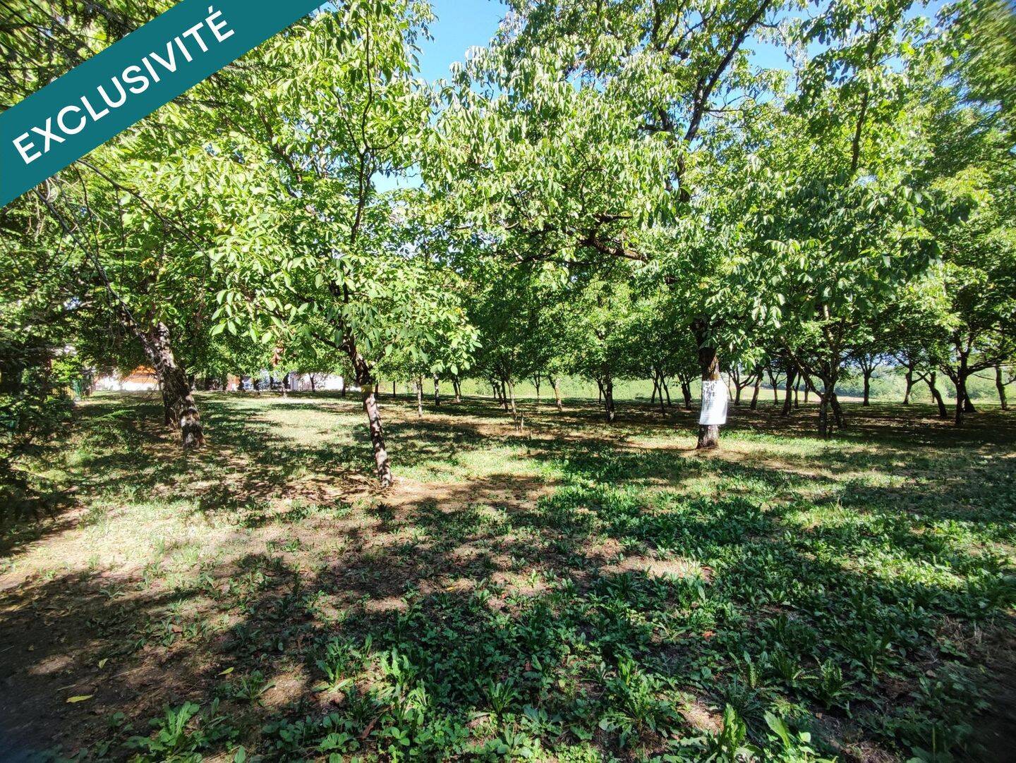 Terrain de 990 m² à La Rivière - photo 2