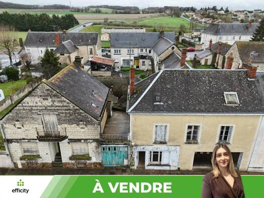 Maison de ville à vendre 94 000 € 10 pièces 7 chambres 350 m² 587 m² de terrain Les Ormes 86220