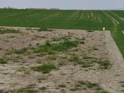 Terrain constructible viabilisé à vendre 104 500 € 550 m² de terrain Berméricourt 51220