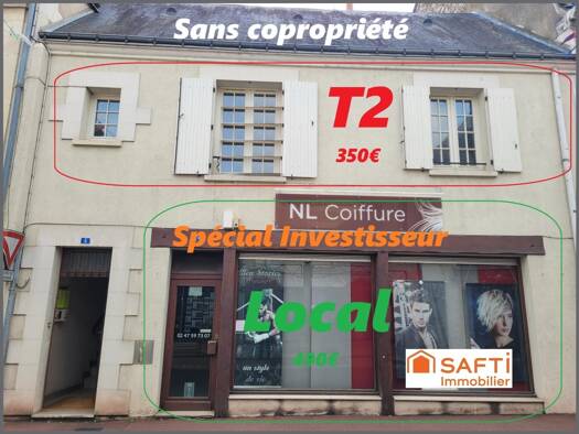 Immeuble à vendre 88 000 € 100 m² Descartes 37160