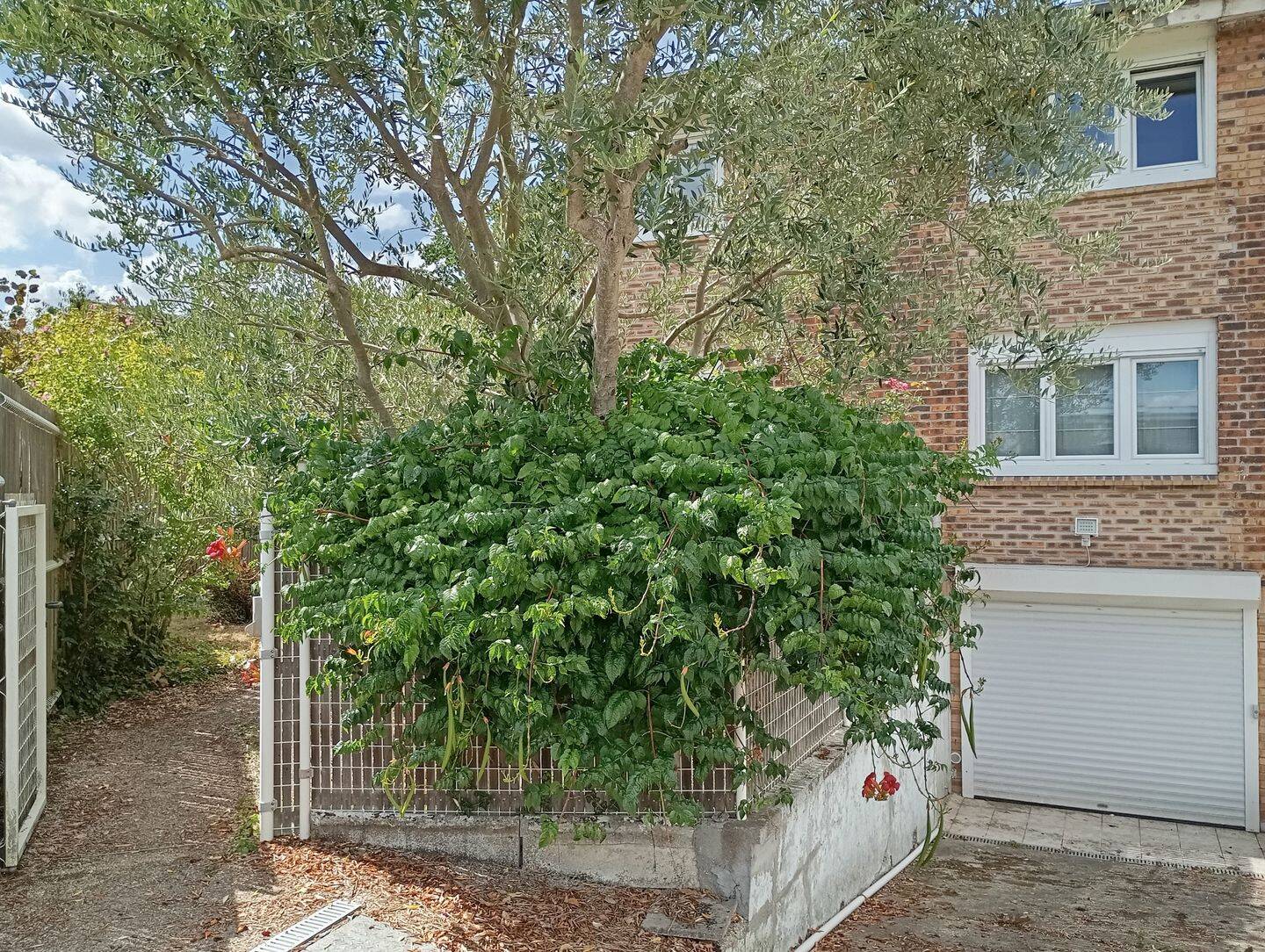 Maison 5 pièces 85 m² · à Montigny-le-Bretonneux · 85 m² · 680 €/mois