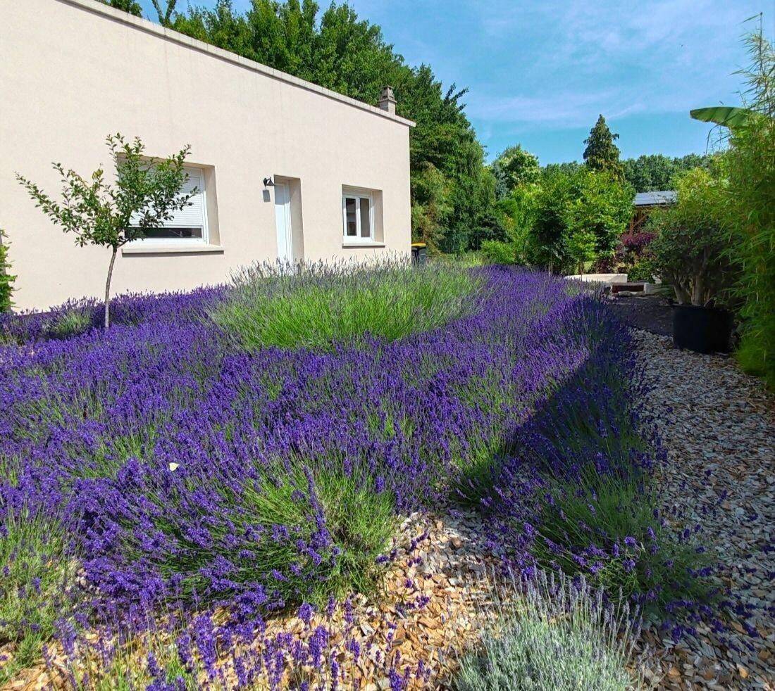 Maison 2 pièces 40 m² · à Gien · 40 m² · 560 €