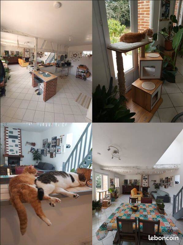 Colocation à louer - Neufbosc - 135 € - 10 m², Étage 1/1, disponible dès maintenant · 10 m² · 135 €