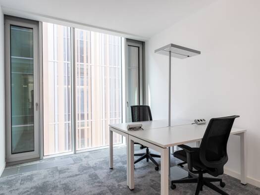 Espace bureau à louer 205 € 8 m² de bureaux Bonnevay - La Soie - Les Brosses Villeurbanne 69100