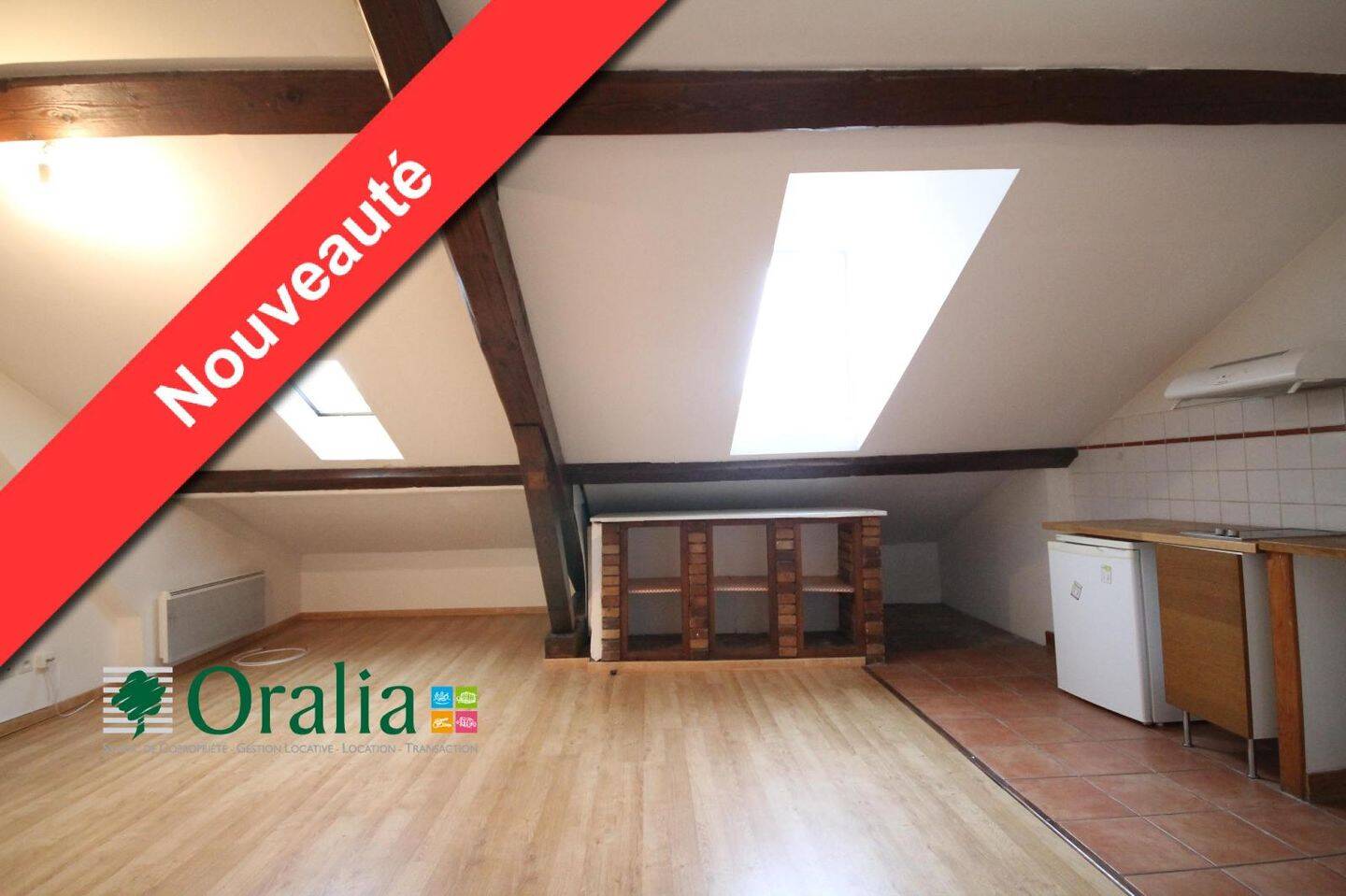 Appartement 1 pièce 33 m² · à Grenoble · 32,6 m² · 481 €