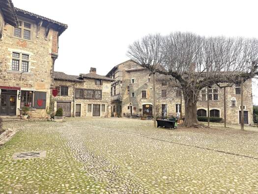 Maison à vendre 308 000 € 4 pièces 3 chambres 138 m² 241 m² de terrain Pérouges 01800