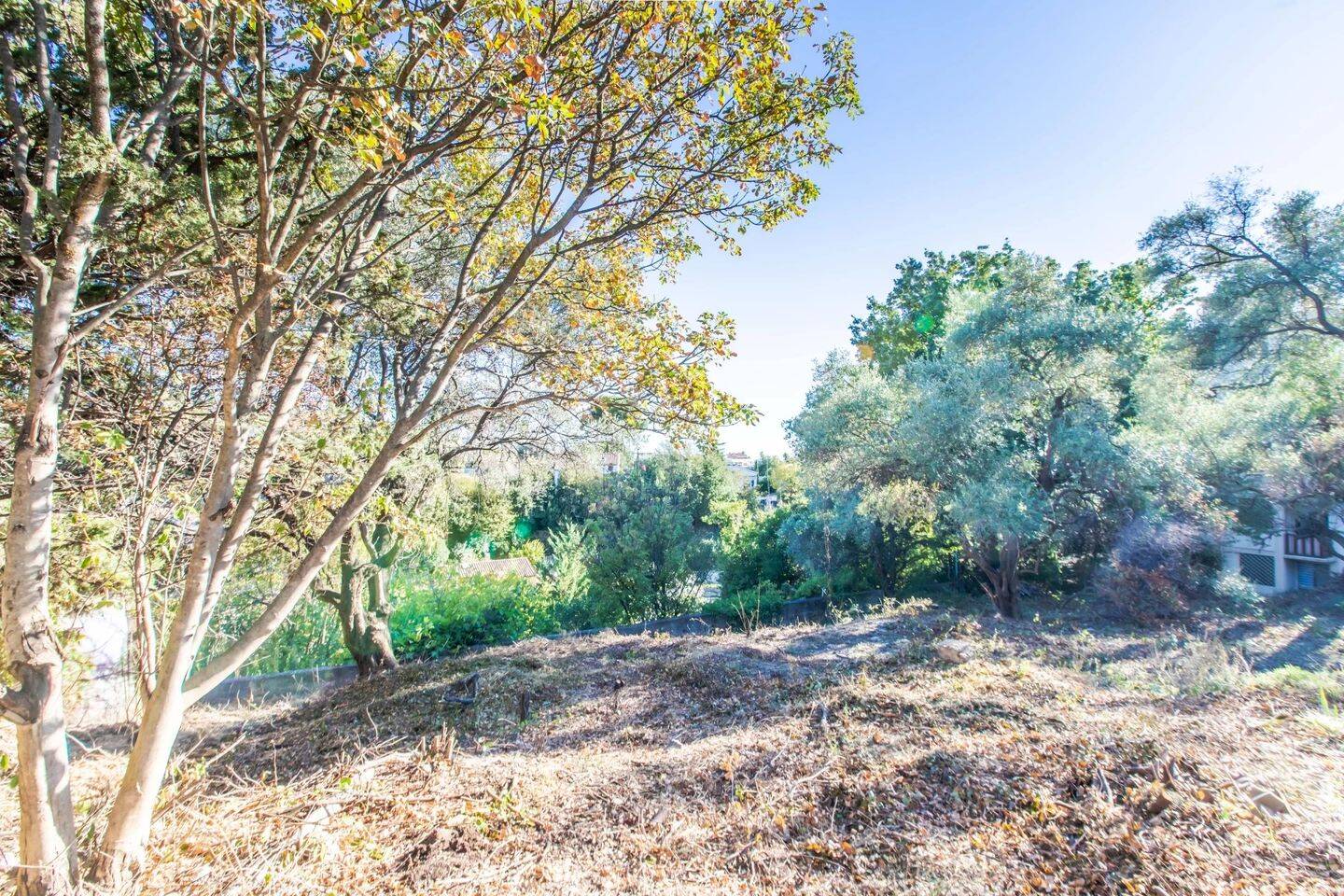 Terrain de 887 m² à Nice - photo 2