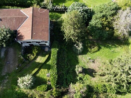 Maison de plain-pied à vendre 180 000 € 5 pièces 4 chambres 118 m² 3 056 m² de terrain Dourgne 81110