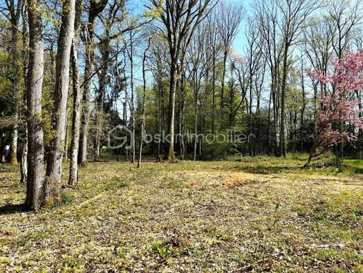 Terrain constructible viabilisé à vendre 28 500 € 2 320 m² de terrain Ferrières-en-Gâtinais 45210