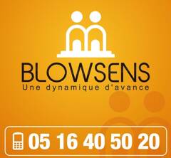 Blowsens logo