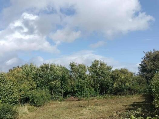 Terrain constructible à vendre 65 000 € 817 m² de terrain Landrethun-lès-Ardres 62610