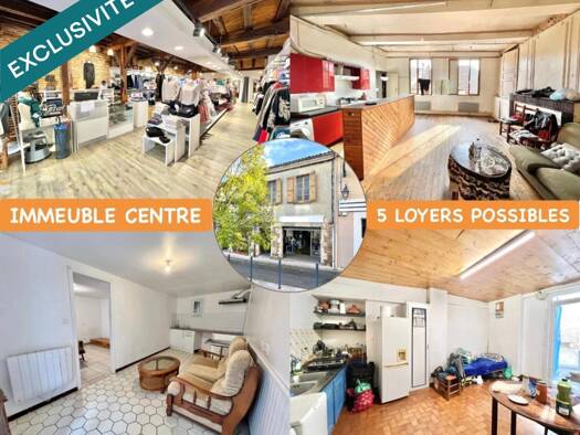 Immeuble à vendre 213 000 € 250 m² Eauze 32800