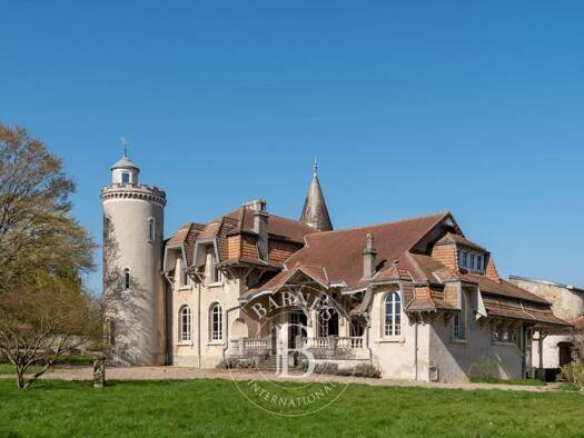 Château à vendre 1 250 000 € 1 pièce 600 m² 24 800 m² de terrain Belleau 54610