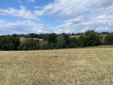 Terrain constructible à vendre 59 000 € 1 302 m² de terrain Montfa 81210