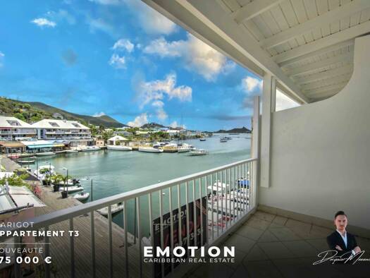 Duplex à vendre 175 000 € 3 pièces 2 chambres 71,5 m² RDC Saint-Martin 97150