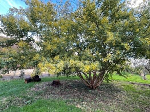 Terrain à vendre 230 000 € 450 m² de terrain La Groue Osny 95520