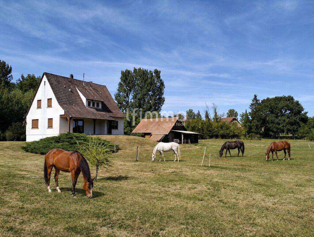 Maison 5 pièces 135 m² · à Biblisheim · 135 m² · 349 000 €